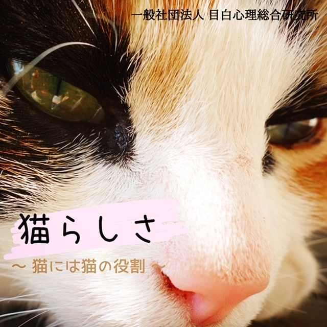 猫らしさ ～ 猫には猫の役割 ～