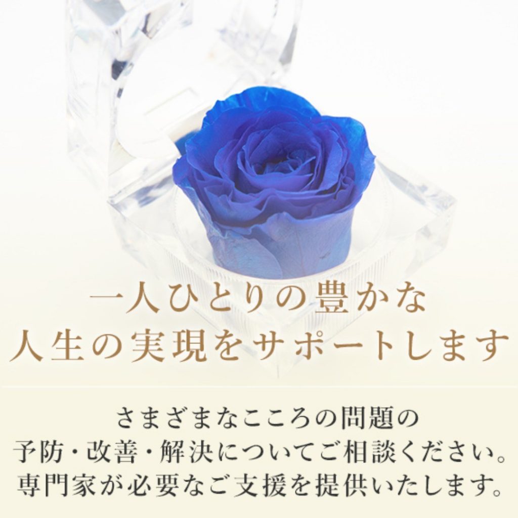 一般社団法人目白心理総合研究所～一人ひとりの豊かな人生の実現をサポート～