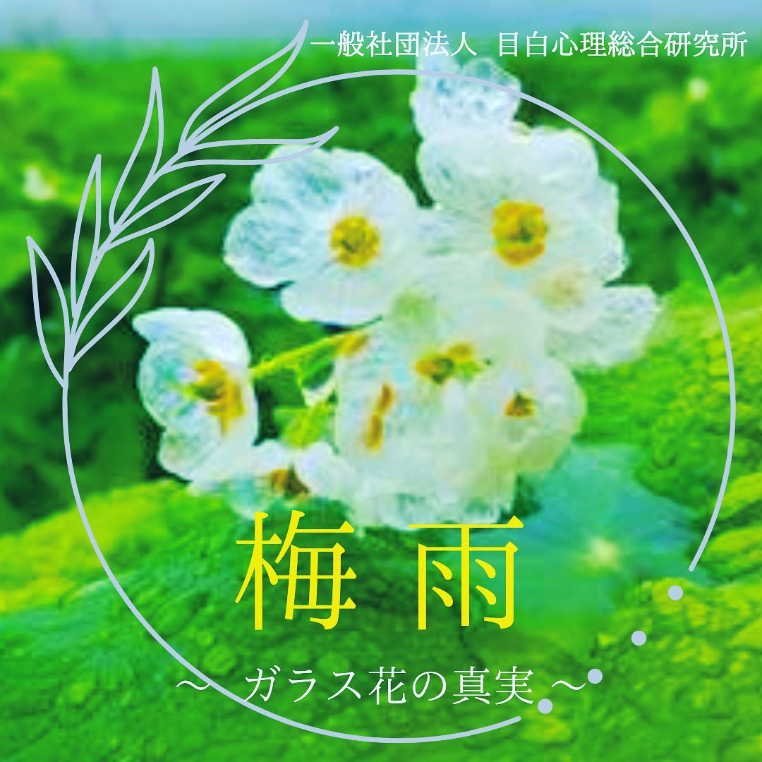 ⁡梅雨 ~ ガラス花の真実 ~ 。⁡6月から7月中旬にかけて、日本列島(北海道を除く)は雨の季節、いわゆる「梅雨」に入りますが、この言葉は中国から「梅雨(ばいう)」として伝わり、江戸時代頃より「つゆ」と呼ばれるようになりました。⁡「梅雨」の漢字の由来には二説あり、ひとつは「黴(カビ)の生えやすい時期の雨」として中国で「黴雨(ばいう)」だったものを、「カビ」では語感が悪いので季節に合った「梅」の字を用いて「梅雨」になったとする説と、もうひとつは「梅の熟す時期の雨」として、元々「梅雨」だったとする説があります。⁡また、日本で「つゆ」と呼ばれるようになった由来は、湿っぽい「露(つゆ)」からという説もあれば、梅の実が熟し潰れる時期でもあることから「漬ゆ(ついゆ)」と関連づけたとする説もあります。⁡さて、今回はこの梅雨の時期に咲く、神秘的な花として有名な「山荷葉(サンカヨウ)」を紹介します。⁡「山荷葉」は山地の湿原に生える多年草で、2cmほどの小さな白い花(６枚花弁)を1茎に3-10個咲かせます。⁡花言葉は、この外見から「清楚な人」や、親しみやすさから「親愛の情」になったと考えられます。⁡一見、ありふれた白い小花ですが、「山荷葉」は雨に濡れるとガラス細工のように花びらが透き通るという不思議な特徴があることから、「ガラス花」や「スケルトンフラワー」ともいわれています。⁡しかし、一定の条件が必要で、透明になるまでにはかなり長い間ゆっくりと時間をかけて水分を含む必要があることや、3日から1週間程度で散ってしまうので雨季と花期のタイミングが重要であること、さらに衝撃に弱く強い雨では花弁が散りやすいことなど、透明な花の状態で出会えるとかなり運がいいことから「幸せ」という花言葉もあります。⁡また、花は透明なままではなく、乾くと再び白く戻る様子から「自由奔放」という花言葉まであります。⁡それではなぜ「山荷葉」の白い花は、濡れると透明に変わるのでしょうか。⁡実は「山荷葉」に限らず、白く見える花は白色の色素はなく透明で、この透明な花弁の細胞にはたくさんの小さな空気の泡が含まれているので、条件次第で透明に見えるのです。⁡つまり、普段その空気の泡は、光を乱反射しているので人間の目には白い花に見えますが、雨が降ると水分が花の細胞の中に入り込み、光の乱反射が起きなくなって、本来の透明な状態が見えるようになるのです。⁡例えば、透明な石鹸水を泡立てると白く見えたり、すりガラスが濡れて透明になったりするのと同じで、白く見えているのは人間の錯覚なのです。⁡人間はつい、「自分が見たものや感じたことが事実である」と思い込んでしまいがちですが、常に主観的に生きています。⁡支援者である私たちもまた人間ですから、どれだけ専門性に努めていても錯覚に陥ったり、準拠枠に捉われがちになるのを避けることはできません。⁡支援者としては常に、主観的である自分をできるだけ意識し、排除して、真の支援ができるように努めたいものですね。⁡お問い合わせは、プロフィールにありますホームページの「お問い合わせ」から、お気軽にお声がけください。⁡⁡⁡⁡⁡[ 一般社団法人　目白心理総合研究所]臨床心理士 / 公認心理師 / キャリアコンサルタント / CEAP / EAPコンサルタント / CBT Therapist︎ / CBT Professional(EAP) / CBT Extra Professional ︎⁡目白駅から徒歩2分池袋駅から徒歩10分⁡⁡#認知行動療法　#カウンセリング　#心理学　#メンタルヘルス　#臨床心理士　#公認心理師　#セラピスト　#カウンセラー　#悩み事　#カウンセラー養成講座　#資格取得支援　#オンライン研修　#梅雨　#山荷葉　#サンカヨウ　#ガラス花　#スケルトンフラワー⁡⁡⁡⁡